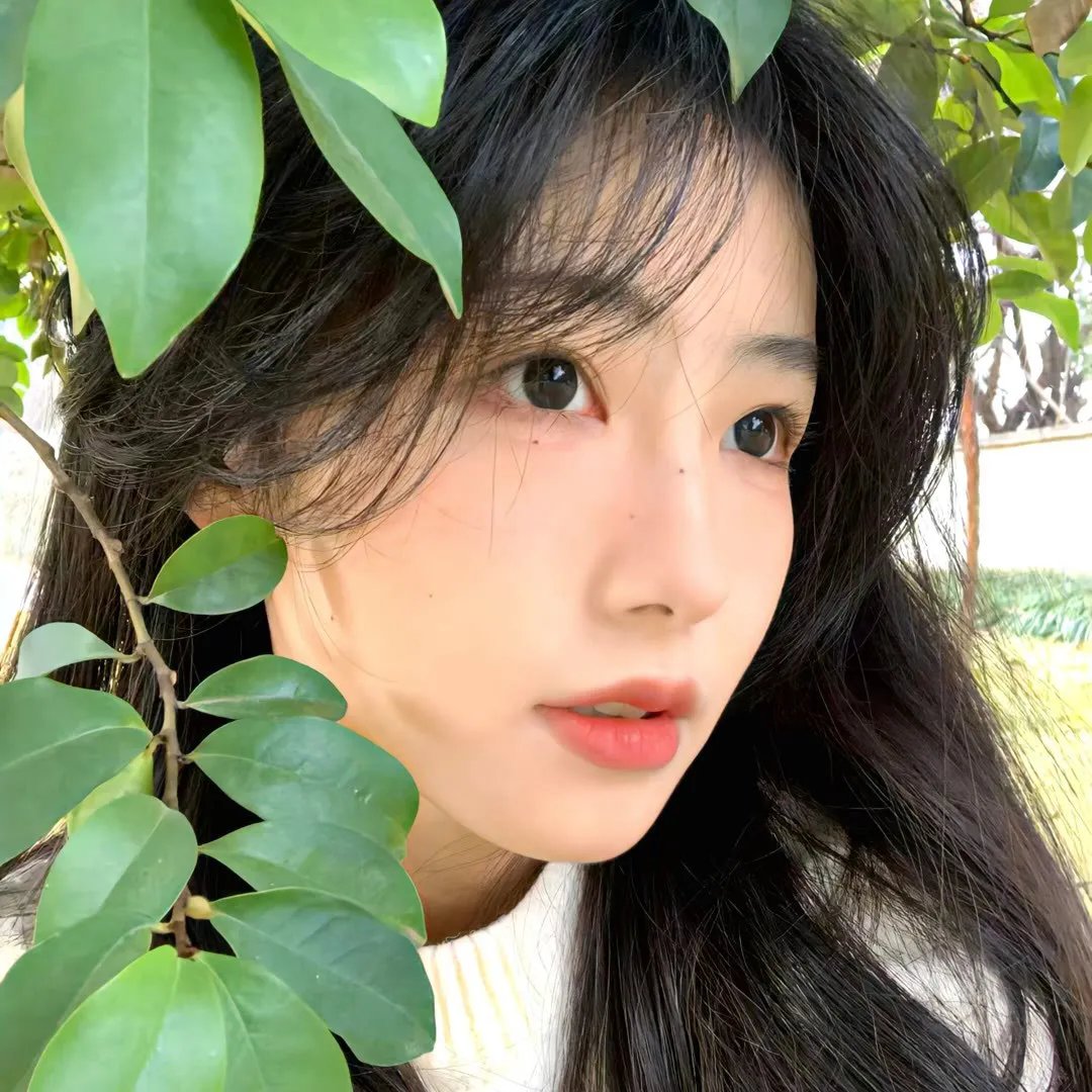 我养了一只九尾狐