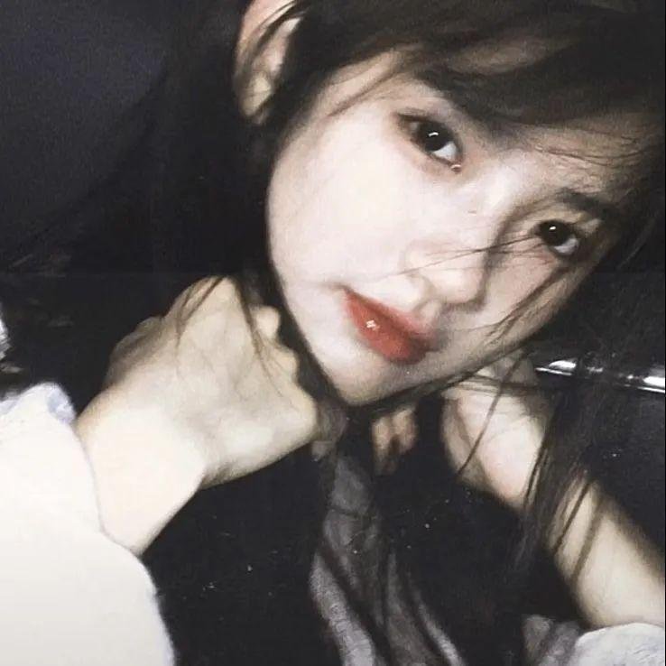 如果德川家康成为总理大臣